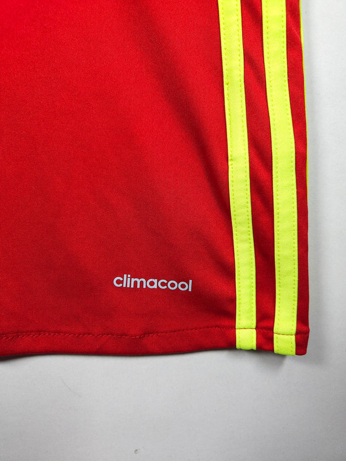 2016-17 Belgium Home Shirt - detailed view