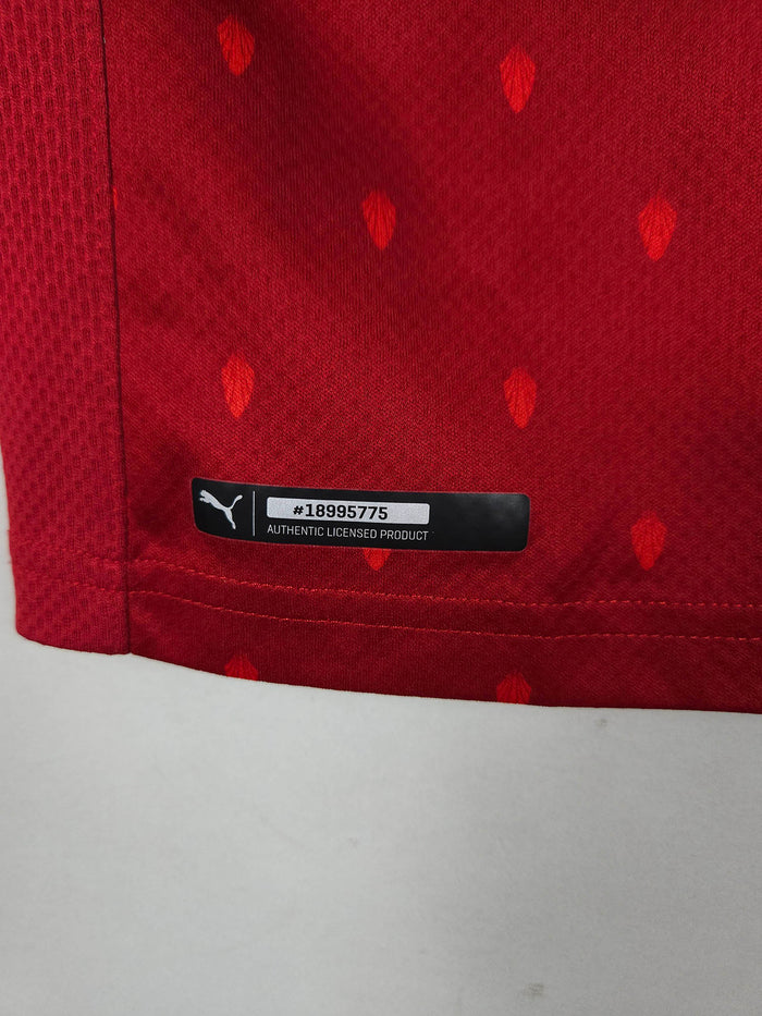 2020-22 Austria Home Shirt - detailed view