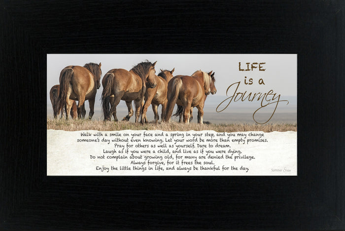 Life is a Journey horse SSW1511 - Summer Snow Art