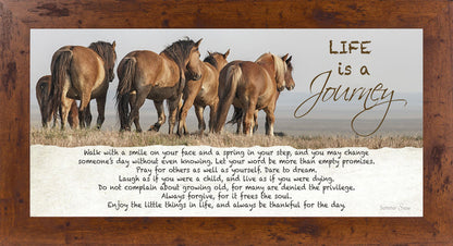 Life is a Journey horse SSW1511 - Summer Snow Art