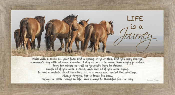 Life is a Journey horse SSW1511 - Summer Snow Art