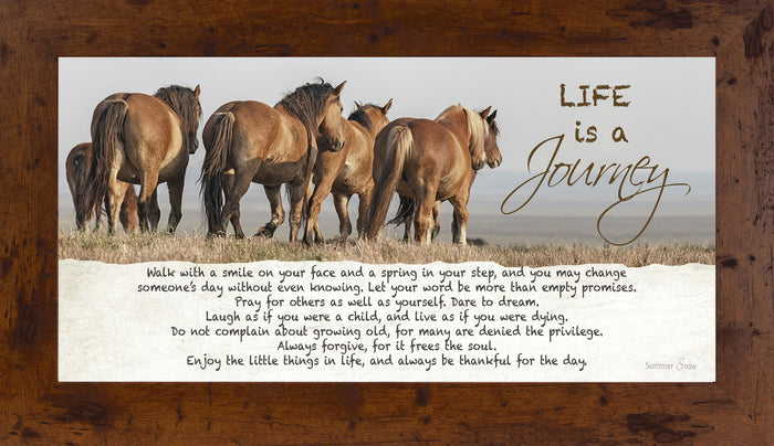 Life is a Journey horse SSW1511 - Summer Snow Art