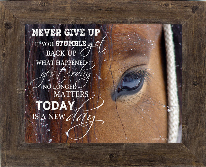 Never Give Up by Summer Snow SSW9994 - Summer Snow Art