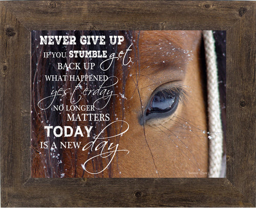 Never Give Up by Summer Snow SSW9994 - Summer Snow Art