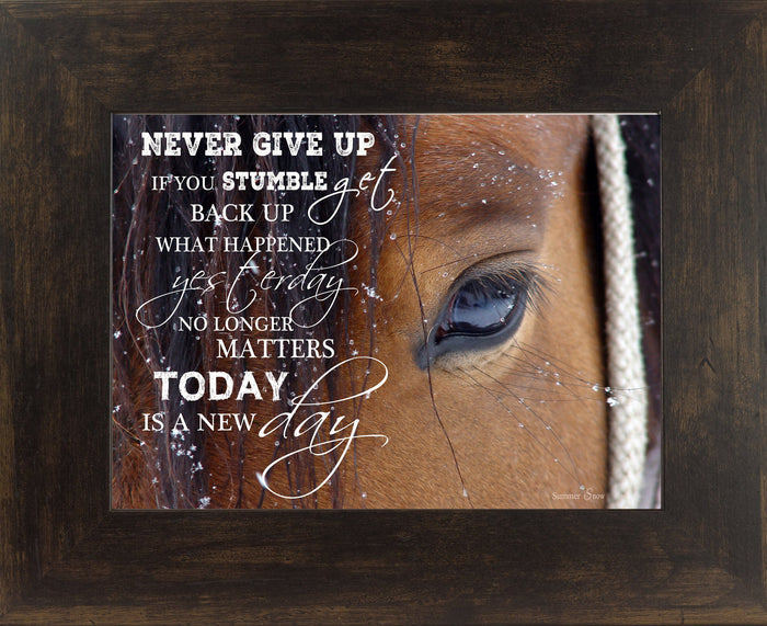 Never Give Up SSW9994 - Summer Snow Art