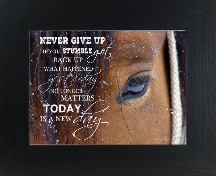 Never Give Up SSW9994 - Summer Snow Art