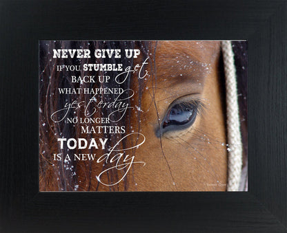Never Give Up SSW9994 - Summer Snow Art