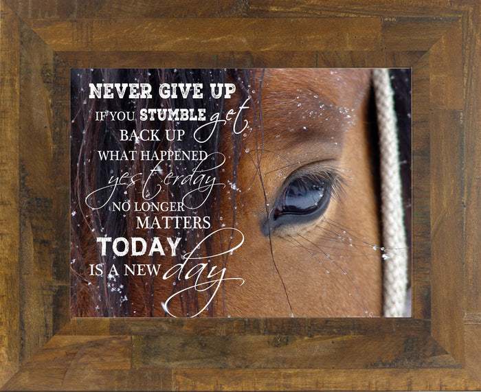 Never Give Up SSW9994 - Summer Snow Art