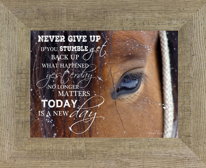 Never Give Up SSW9994 - Summer Snow Art