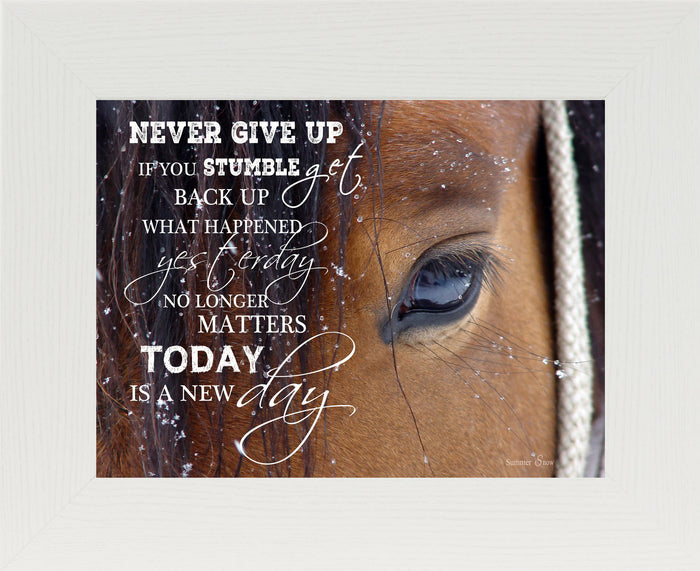 Never Give Up SSW9994 - Summer Snow Art
