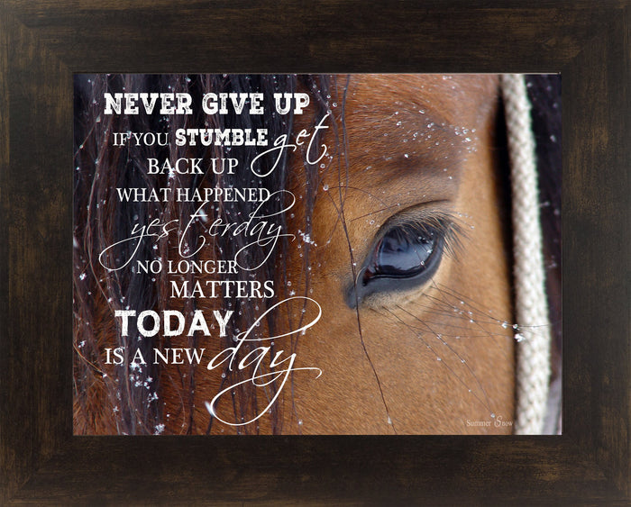 Never Give Up SSW9994 - Summer Snow Art