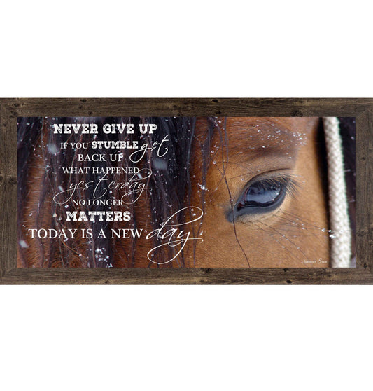 Western horse inspirational wall art featuring a close up brown horse face with motivational text Never give up if you stumble get back up today is a new day in a wide horizontal format
