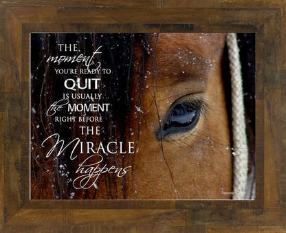 The Moment You're Ready to Quit horse eye SSW9812 - Summer Snow Art
